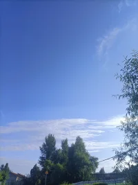 城市的喧嘩與緊張，常常讓人忘了生活的意義。童年最愛吃的野果，長大以后卻好多年都沒有看到了。雖然現(xiàn)在隨處可得各種各樣的水果，但還是喜歡童年的味道。回到老家，看看熟悉的老屋，天藍(lán)，水清，果香，蟲鳴……童年的味道配圖