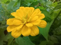 不知不覺已入秋，拋開夏天一切的煩惱，愿所有遇見都是美好。平淡歲月里感謝努力發光的每一天從今天開始，如果有一個負面情緒，就要想三個正面情緒代替它。心情好，一切都會好。愛笑的人運氣不會差。要記得微笑呀配圖