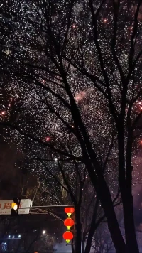 喜歡絢爛的煙花，即使轉(zhuǎn)瞬即逝，也要給黑暗的夜空送去不同的風(fēng)景
感謝過去一年新老朋友的信任與支持。希望新的一年，在平臺(tái)認(rèn)識(shí)更多朋友
用心理學(xué)點(diǎn)亮生活，改變世界配圖