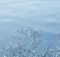 索取的人永远都是痛苦的，因为他没有尽头，就是你对我好，我希望你对我更好，不懂得去感恩，这个世界上没有理所应当的事情，别人对我们的好不是理所应当的，我们要给人家回馈的，我们要懂得感恩。不管是爱人，父母，朋友…
如果你不懂得去给人家回馈，你早晚要消耗没有的，消耗没有的时候，才是你真正痛苦的时候。配图