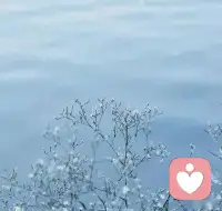 生活壞到一定程度就會好起來，因為它無法更壞。努力過后，才知道許多事情，堅持堅持，就過來了。配圖