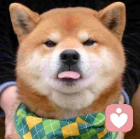 把生活调成自己喜欢的频道，每一段时光都藏着生活中的美好(✿◡‿◡)配图