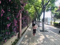孔夫子有一个训诫，子绝四，这是学生说孔子的，孔子四件事从来不做的，勿意、勿必、勿固、勿我。勿意就是别瞎猜；勿必，没有什么必须的，不用执着；勿固，不要固执己见；勿我，不要以自我为中心；勿固，就是特别重要的一条，叫思维僵化，我行我素。配图
