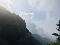 结束的地方，即是开始。

我允许任何事情的发生。
我允许，事情是如此的开始，
如此的发展，如此的结局。
因为我知道，
所有的事情，都是因缘和合而来，
一切的发生，都是必然。
若我觉得应该是另外一种可能，
伤害的，只是自己。
我唯一能做的，
就是允许。

我允许别人如他所是。
我允许，他会有这样的所思所想，
如此的评判我，如此的对待我。
因为我知道，
他本来就是这个样子，
在他那里，他是对的。

若我觉得他应该是另外一种样子，
伤害的，只是自己。
我唯一能做的，
就是允许。

我允许我有了这样的念头。
我允许，每一个念头的出现，
任它存在，任它消失。

因为我知道，
念头本身本无意义，与我无关，
它该来会来，该走会走。

若我觉得不应该出现这样的念头，
伤害的，只是自己。
我唯一能做的，
就是允许。

我允许我升起了这样的情绪。
我允许，每一种情绪的发生，
任其发展，任其穿过。

因为我知道，
情绪只是身体上的觉受，
本无好坏。
越是抗拒，越是强烈。

若我觉得不应该出现这样的情绪，
伤害的，只是自己。
我唯一能做的，
就是允许。

我允许我就是这个样子。
我允许，我就是这样的表现
我表现如何，就任我表现如何。

因为我知道，
外在是什么样子，只是自我的积淀而已。
真正的我，智慧具足。

若我觉得应该是另外一个样子，
伤害的，只是自己。
我唯一能做的，
就是允许。

我知道，
我是为了生命在当下的体验而来。

在每一个当下时刻，
我唯一要做的，就是
全然地允许，
全然地经历，
全然地享受。

看，只是看。
允许 一切如其所是。配图