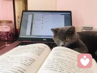 别把自己想的太伟大，要知道在别人的世界里，不管你做的多好，你都只是个配角而已！配图