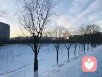 北京的冰雪世界配图