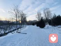 北京的冰雪世界配图