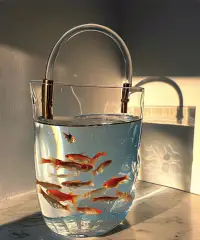 萬事皆是塞翁馬，
真歡喜，別生愁。配圖