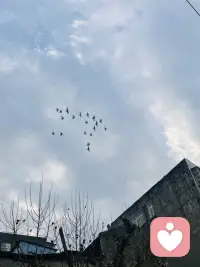 好的亲子关系，是：
他需要时你在，他独立时你退。
允许他做自己，比什么都重要。