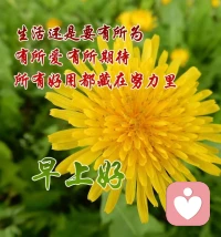 余生很貴，努力活成自己想要的樣子，熬過(guò)所有艱難的日子，就會(huì)迎來(lái)陽(yáng)光明媚的未來(lái)，如果生活一定要取悅一個(gè)人，我們最應(yīng)該取悅的是自己，隨著心的方向走，看到別人的光芒，也知道自己的耀眼。不負(fù)時(shí)光，不負(fù)自己！早安！配圖