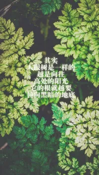 其實人跟樹是一樣的，越是向往高處的陽光，它的根就越要伸向黑暗的地底。—— 弗里德里希·威廉·尼采配圖