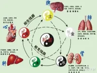 人的負面情緒被稱為“五毒”, 會對人體健康造成哪些不良影響?

什么是脾氣？脾氣指的是脾臟之氣，中醫認為人體內有五臟，自然界內有五行，五臟之間運行失常，就會導致各種疾病的發生。脾氣還有另一種解釋，即脾氣是一種性情，打個比方，某人很少發脾氣，就是說他的脾氣很好，不焦躁，那脾氣不好的人，就是容易發怒的性情，有急躁的情緒。所以，我們不難看出脾氣對身體健康的影響。
當然，我們每個人都有脾氣，或好或壞。人生百態，喜怒哀樂在所難免。好脾氣的人會加以克制，壞脾氣的人會不受控制地爆發出來。
雖說壞脾氣或者其他負面情緒，不是傷害我們身體健康的主要因素，但卻會造成諸多不良影響。人的五種負面情緒，又稱五毒：有怨、恨、惱、怒、煩。它們不僅會使我們不愉快，更重要的是，這些情緒的存在，會讓我們變得不健康，使我們被疾病纏身。那么我們可以具體看看，這五種負面情緒對人體的影響有哪些：
1、怒傷肝：怒氣會導致肝氣上逆，頭痛眩暈、耳鳴、昏厥、吐血，甚至引起中風、半身不遂。
2、恨傷心：心生怨恨會引發冠心病、心肌梗塞、癲狂失語等多種疾病的發生。
3、怨傷脾：愛抱怨，積了一肚子怨氣很容易導致便秘、慢性泄瀉、結腸炎、胃部飽脹、腹瀉，引發胃炎、胃潰瘍、胃黏膜脫落，甚至胃癌等疾病。
4、惱傷肺：平時若經常惱他人，心氣較小嫉妒心較重。會導致氣喘、咳嗽、吐血、肺虛、肺炎、肺結核等疾病。
5、煩傷腎：如果你很容易煩躁，說明你的腎虛，腎水少，則會造成腰疼、腿酸、肚腹疼痛、腰間盤突出、腰椎結核、糖尿病、尿毒癥等疾病。
由此可見，壞脾氣對我們的身體健康極為不利，那么我們應該怎樣去調整心態，克制住自己的脾氣呢？
1、打開自己的心扉，告訴自己，每個人都有各自的看法，不一定和自己完全相同，存在即合理，多站在他人的立場上考慮問題，要用包容心去對待每一個人。
2、做任何事之前都應該進行冷靜思考后，再下結論。
3、我們應該適當堅持自己的看法，擁有自己的人生觀和價值觀，別人的意見并不一定適合你。
4、當自己的情緒不受控制，心情不好的時候，可以做一些其他的事情，比如：讀書、唱歌、購物等，轉移一下情緒；同樣我們可以找親密的好友傾訴，也是一種好辦法。
所以，我們要以積極健康的情緒去面對生活，遠離壞脾氣就是遠離差身體！保持好心情，讓我們擁有一顆健康的心靈，開拓出精彩的人生。配圖