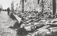 74年前的今天，即1949年5月27日，上海解放了，這座曾經是西方一些冒險家的樂園，被稱為十里洋場的城市，回到了人民的懷抱；影視作品《霓虹燈下的哨兵》《上海的早晨》正是展現了這段難忘的歲月；74年的光陰，靜靜的流淌，上海這座城市發生了翻天覆地的變化，人民的生活得到了史無前例巨大的改善。上海戰役中，一共犧牲了7785位革命烈士，犧牲者中，年齡最大的62歲，最小的16歲；解放軍指戰員7613名，地方志士100名，隨軍支前干部和民工72名。革命烈士以自己的鮮血和生命換來了上海的新生，我們要永遠銘記他們的英雄業績，深切緬懷所有為解放上海犧牲的先烈！配圖