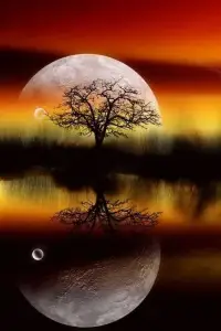 今天凌晨2點多，一位來訪者來跟我文字描述他和妻子出現(xiàn)了一些問題，我用文字簡單跟他交流了兩句，就告訴他希望通過電話深入交流一下，他卻說“就在這里不行嗎？”言外之意就是想用文字一直和我免費的交流，聊下去，不想花錢，我婉轉(zhuǎn)地告訴他說“你這個情況用電話交流比較合適”，結(jié)果他就說了一句“那就算了”，接著走人了；聯(lián)想到論壇區(qū)有個別人發(fā)牢騷，抱怨，說什么“這平臺上的傾聽者、咨詢師都是騙錢的，沒有雷鋒精神，不能免費的跟我們聊天，做咨詢，不能免費的幫助我們，只會要錢，唯利是圖”，看到這樣的奇葩的話，我感覺到很愕然，也很搞笑，很多傾聽者，包括我本人，如果有什么問題想請教或有什么事情想得到其他傾聽者的幫助，都是花錢來解決，沒有什么搞特權(quán)的，你們來訪者來求助，花錢就不應(yīng)該嗎？給力心理平臺提供的是有償?shù)姆?wù)，價格都通過物價局的審核批準(zhǔn)，哪里存在騙錢的行為？再說，傾聽者咨詢師們也不欠你們哪個來訪者的人情，憑什么要免費的義務(wù)地給你們哪個來訪者提供幫助？做公益是一個人的善良有愛心的體現(xiàn)，但不是法定的義務(wù)，沒必要被道德綁架，每個來訪者跟傾聽者、咨詢師交流，做咨詢，難道不需要花費傾聽者咨詢師們的時間、精力、腦力嗎？傾聽者咨詢師們也要養(yǎng)家糊口，吃飯生活。來訪者們不管什么原因如果不愿意花錢，可以到線下打公益的心理援助電話。配圖