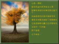 生命自身就是高貴的、有尊嚴的，這份高貴和尊嚴不需要通過別人的認可來確立，如果我們不能看到這一點，那是我們自身的損失。我們的態度不能決定他人的生命狀態，只能決定我們自己的生命狀態。配圖