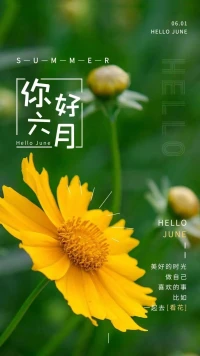 如果你不能飛，那就奔跑；如果不能奔跑，那就行走；如果不能行走，那就爬行；但無論你做什么，都要保持前行的方向。五月再見，六月你好！配圖