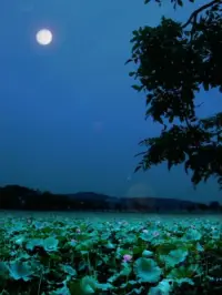六月初的午夜，星空，還是那邊星空，好像又不是。夜色，還是一樣的夜色，又還想不大一樣。我們就在是與不是之間徘徊，迷離在現實和記憶之中。

窗外的星空，隨著夜色的加深，越發顯得明亮了，透過玻璃夜色也更加精彩了。人總是往前看的，不可能總是活在記憶里，無論記憶多么美好，代表著過去。

抬頭望著星空，依然浩瀚如海，個人與它相比顯得如此渺小。但你我堅信，無論什么樣的星空，無論夜色多么灰暗，總會迎來黎明的到來。握緊拳頭，給自己打氣，為自己加油，你可以的，上天會眷顧勤奮者！配圖