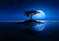 六月初的午夜，星空，還是那邊星空，好像又不是。夜色，還是一樣的夜色，又還想不大一樣。我們就在是與不是之間徘徊，迷離在現實和記憶之中。

窗外的星空，隨著夜色的加深，越發顯得明亮了，透過玻璃夜色也更加精彩了。人總是往前看的，不可能總是活在記憶里，無論記憶多么美好，代表著過去。

抬頭望著星空，依然浩瀚如海，個人與它相比顯得如此渺小。但你我堅信，無論什么樣的星空，無論夜色多么灰暗，總會迎來黎明的到來。握緊拳頭，給自己打氣，為自己加油，你可以的，上天會眷顧勤奮者！配圖
