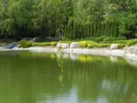 有人喜歡春天鳥語花香的景色，有人喜歡秋天豐收季節的果實，有人喜歡冬天絨毛般的雪花。

在一年四季中，而我最喜歡的是這美麗寧靜的夏日，因為夏天的景色怡人，雖然夏天很熱，但它的風景有獨特的美。

在夏天，我最喜歡在我家陽臺乘涼，樓下小道旁邊樹木成蔭的，清晰的鳥叫在茂密的樹葉間漸次響起，以極具穿透力的噪音提醒我們時光的流轉 ，這份流轉喚醒了在樹下打盹的小黃犬，也喚醒了時光斑駁處的夏天。出去游玩時，如果熱了或累了，就在大樹底下乘涼，花草樹木散發出新鮮的空氣，我們就可以吸收新鮮的空氣了，還可以聞到一陣陣花香。

夏天是一個多彩的季節，一眼望去，到處綠樹成蔭。炎熱的夏日，也是瓜果飄香的季節。

夏天的午后，蔚藍的天空飄著棉花糖似的幾朵白云，安靜又祥和。

愿六月的風，能吹來夏天的好消息，愿人間皆安，愿一切美好都如期而至，與你相約在這個寧靜美麗的夏天。配圖