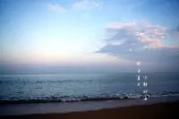 有人喜歡春天鳥語花香的景色，有人喜歡秋天豐收季節的果實，有人喜歡冬天絨毛般的雪花。

在一年四季中，而我最喜歡的是這美麗寧靜的夏日，因為夏天的景色怡人，雖然夏天很熱，但它的風景有獨特的美。

在夏天，我最喜歡在我家陽臺乘涼，樓下小道旁邊樹木成蔭的，清晰的鳥叫在茂密的樹葉間漸次響起，以極具穿透力的噪音提醒我們時光的流轉 ，這份流轉喚醒了在樹下打盹的小黃犬，也喚醒了時光斑駁處的夏天。出去游玩時，如果熱了或累了，就在大樹底下乘涼，花草樹木散發出新鮮的空氣，我們就可以吸收新鮮的空氣了，還可以聞到一陣陣花香。

夏天是一個多彩的季節，一眼望去，到處綠樹成蔭。炎熱的夏日，也是瓜果飄香的季節。

夏天的午后，蔚藍的天空飄著棉花糖似的幾朵白云，安靜又祥和。

愿六月的風，能吹來夏天的好消息，愿人間皆安，愿一切美好都如期而至，與你相約在這個寧靜美麗的夏天。配圖
