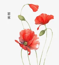 6.26國際禁毒日的由來

20世紀80年代，毒品在全球日趨泛濫，毒品走私日益嚴重。面對這一嚴峻形勢，聯(lián)合國于1987年6月在奧地利維也納召開了關(guān)于麻醉品濫用和非法販運問題的部長級會議。會議提出了“愛生命、不吸毒”的口號，并建議將每年的6月26日定為“國際禁毒日”，以引起世界各國對毒品問題的重視，共同抵御毒品的危害。

因為林則徐虎門銷煙是6月3日起，共進行了23日結(jié)束，故將6月26日定為國際禁毒日。同年12月，第42屆聯(lián)大通過決議，正式將每年的6月26日確定為國際禁毒日。2001年落成的緬甸仰光禁毒博物館。配圖
