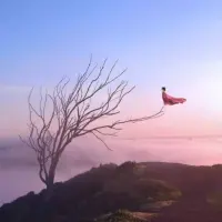 不懂就要多琢磨，多看书， 多观察，不要做伸手党，上学都要交学费，不要没人理你。配图