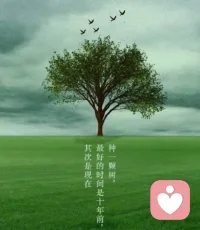 種一棵樹，最好的時間是十年前，其次是現(xiàn)在。—— 丹比薩·摩約配圖
