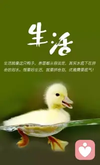 不自卑的表現(xiàn)是，聽(tīng)不懂就問(wèn)到底是啥，買(mǎi)不起就說(shuō)有些貴，配不上就說(shuō)那算了。但是大多數(shù)人，都是聽(tīng)不懂也點(diǎn)點(diǎn)頭，買(mǎi)不起說(shuō)不稀罕，配不上說(shuō)不過(guò)隨便玩玩。配圖
