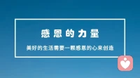 乔斯坦·贾德在《苏菲的世界》中说：“没有人天生该对谁好 所以我们要学会感恩。”

居里夫人说：“不管一个人取得多么值得骄傲的成绩，都应该饮水思源，应该记住是自己的老师为他们的成长播下了最初的种子。”

林清玄说：“对顺境逆境都要心存感恩，让自己用一颗柔软的心包容世界。柔软的心最有力量。”

总而言之，一个人最重要的就是感恩。

感恩，是所有力量中，最积极的力量。配图