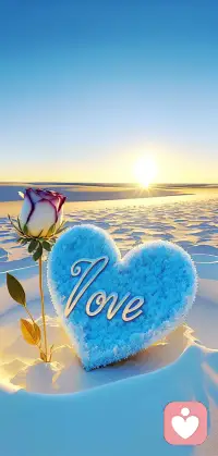 最重要的，不是别人有没有爱我们，而是我们值不值得被爱。配图