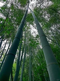 這個世界并不是掌握在那些嘲笑者的手中，而恰恰掌握在能夠經受得住嘲笑與批評并不斷往前走的人手中。配圖