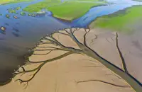通暢生命河流配圖