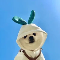 你是喧鬧人群中緊縮在兜里的雙手，是深夜小路上音量調到最大的耳機，是課間茫然四顧無處安放的視線，是食堂端著餐盤怎么也找不到的空位。配圖