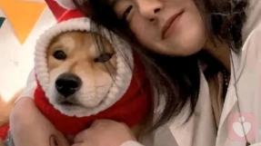 悅詩(shī)風(fēng)吟