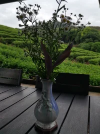 最美的風景永遠是當下配圖