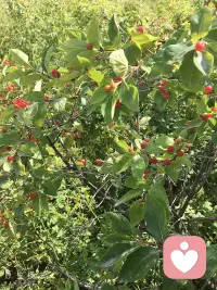 蛤蟆先生看心理醫生，還原了心理咨詢的真實場景，也道出了抑郁癥的原因，希望結交愛讀書的朋友，大家一起學習，一起成長配圖