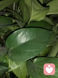 孩子為什么會闖禍呢？。這是因為孩子沒在長大，他們是不斷成長的生物啊，你看人活在世上總要跟世界交流，正是因為孩子們在長大，要發展到下一個人生階段，而在這個過程中會出現各種各樣的問題，所以呢，闖禍是避免不了的。配圖