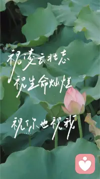 此時的，你，生命狀態是如何的，開心愉悅的，還是抱怨痛苦的?弱弱的問一句：“誰應該為你的生命狀態負責任呢？”配圖
