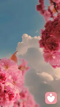 假如今天是你人生的最后一天，你滿意的是什么？不滿意的是什么？配圖