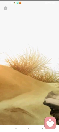 臣服生命，臣服自己的出生環(huán)境，難道我們能對生命說，我不要你嗎？難道麥子，能對連刀說不要割我嗎？學(xué)會了臣服，就學(xué)會了順勢而為。配圖