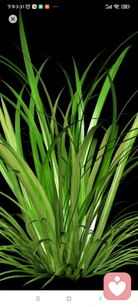 臣服生命，臣服自己的出生環(huán)境，難道我們能對生命說，我不要你嗎？難道麥子，能對連刀說不要割我嗎？學(xué)會了臣服，就學(xué)會了順勢而為。配圖