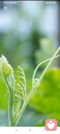 一旦智慧進入你心，知識讓你喜悅。思考的能力就會保護你。配圖