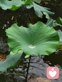 指出去的手換成攤開的手，指責換成期待和渴望。家庭的氛圍就會越來越好。配圖