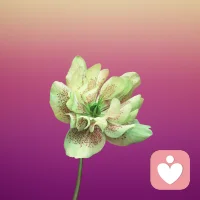 在兩個(gè)人相處的時(shí)候，有的時(shí)候我們執(zhí)著我們不接受的部分。是我們想改變他，而恰恰一個(gè)人不能改變另一個(gè)人。配圖