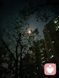 月上柳梢頭。大家晚安，好夢。配圖