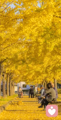 潛意識不受時間和空間的限制，能把我們帶到不同的時空。配圖