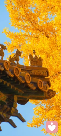 愛與被愛是一切的根源。也是活著的意義。配圖