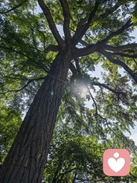 接單中，歡迎咨詢，一個(gè)有溫度，有知識(shí)，有原則的人配圖