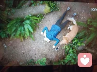 Averygoodfriend一Ebzo.狗狗，人類的好朋友。配圖