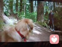 Averygoodfriend一Ebzo.狗狗，人類的好朋友。配圖